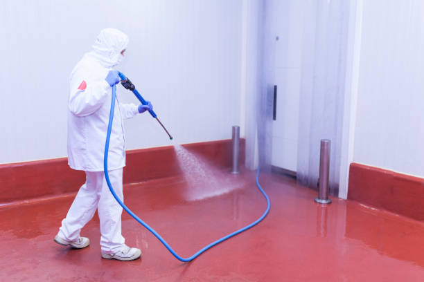 Best Factory Floor Cleaning  in Paulina, LA